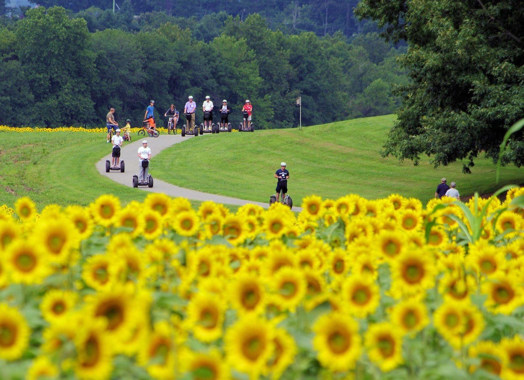 The Inn On Biltmore Estate Asheville Ngoại thất bức ảnh